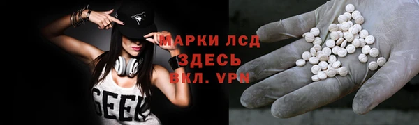 прущие грибы Киреевск