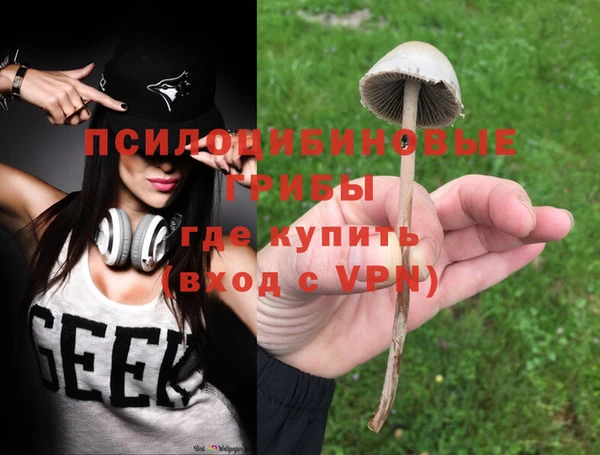 МДПВ Кинешма