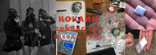 прущие грибы Киреевск